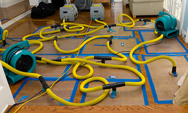 Professional Water Damage Repair technician working in Fowlerton, TX